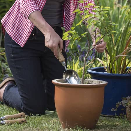 Kent & Stowe Stainless Steel Potting Scoop – image 3